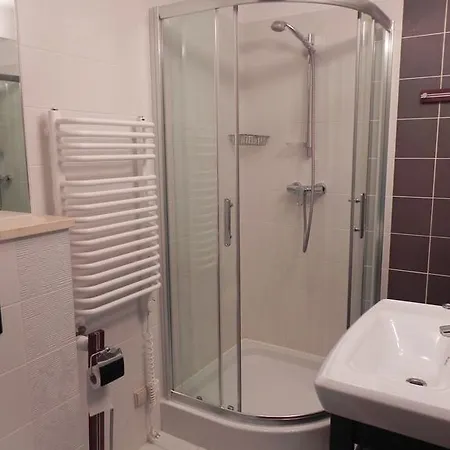 Apartament Brandy Radowid *